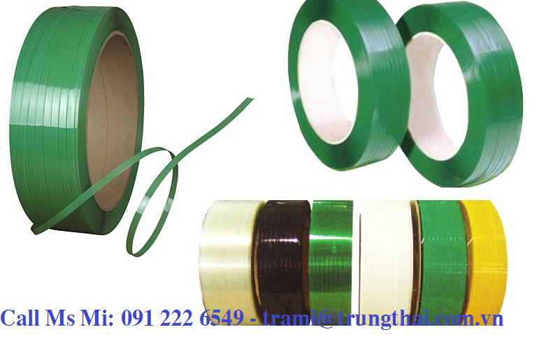Dây đai nhựa PP/ PET